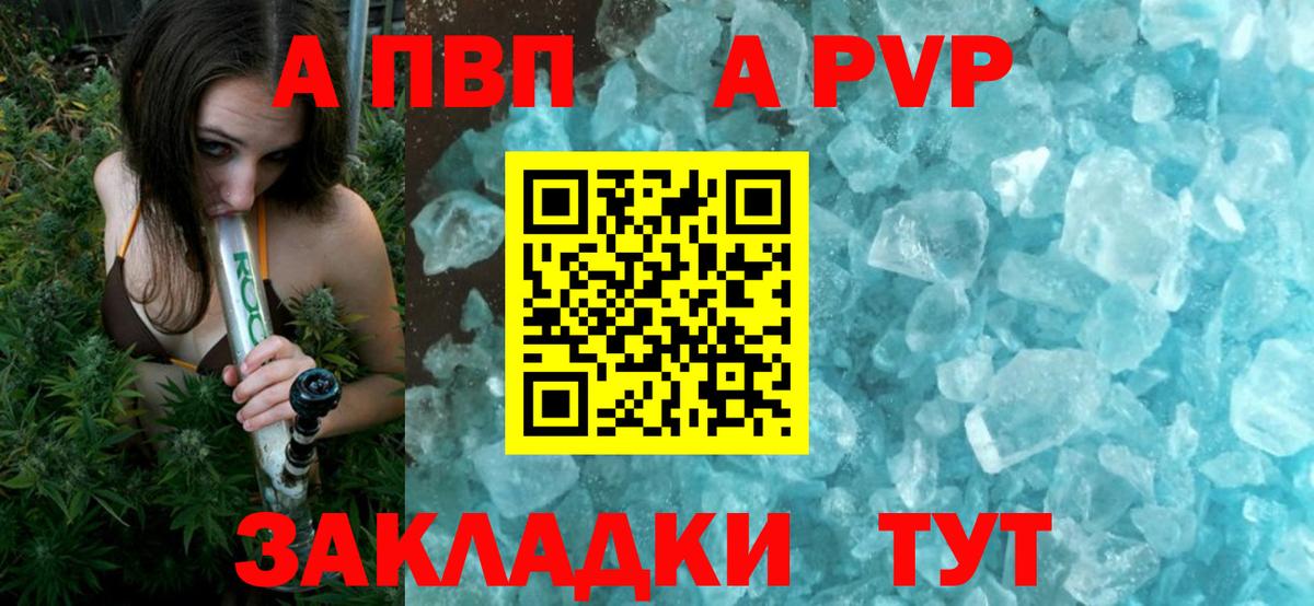Альфа ПВП СК Гудермес
