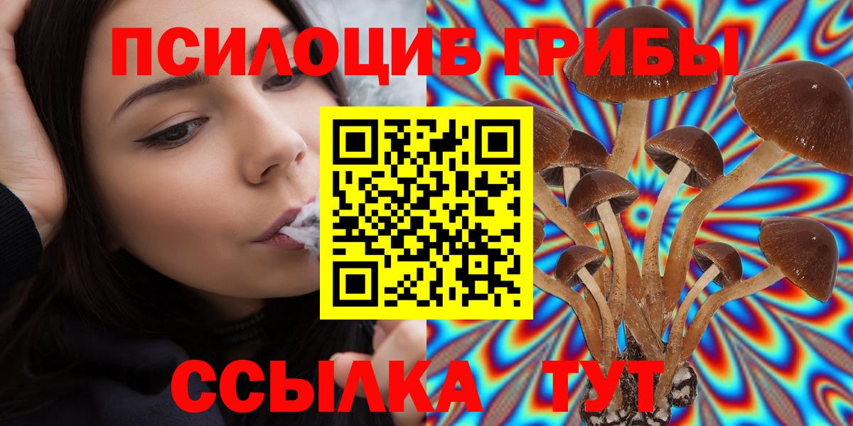Галлюциногенные грибы Cubensis  Псилоцибиновые грибы прущие грибы  Гудермес  Вход с VPN 